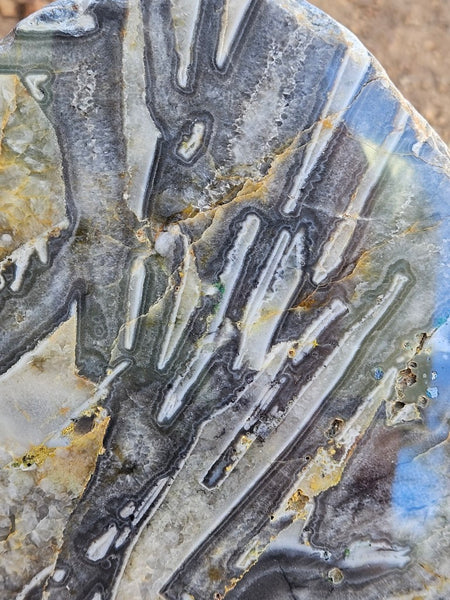 Polished Wyloo Agate slab WA161  John