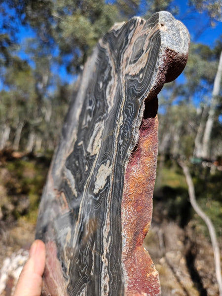 Polished Wyloo Agate slab WA162  John