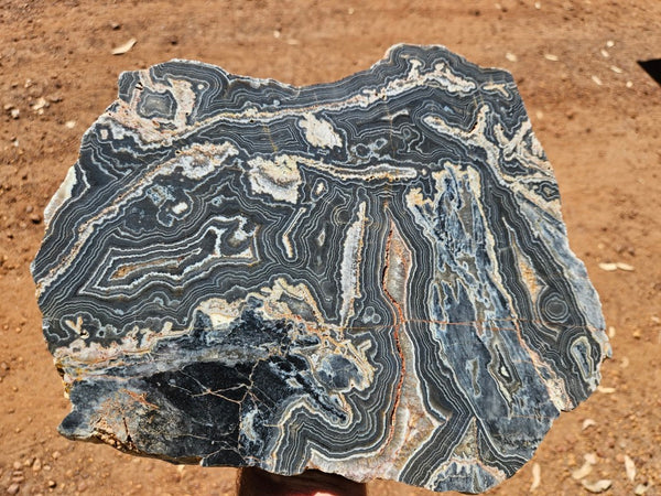 Polished Wyloo Agate slab WA162  John