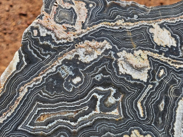 Polished Wyloo Agate slab WA162  John