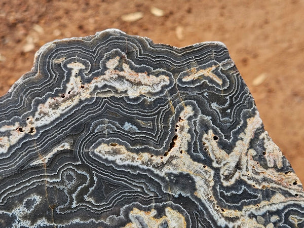 Polished Wyloo Agate slab WA162  John