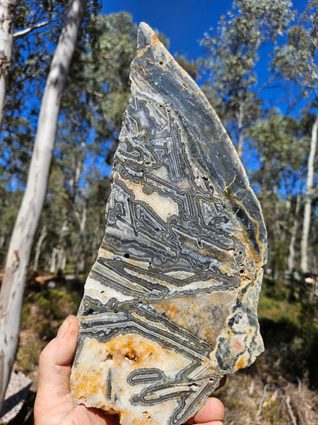 Polished Wyloo Agate slab WA157  John
