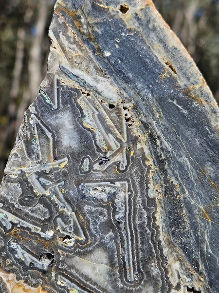 Polished Wyloo Agate slab WA157  John