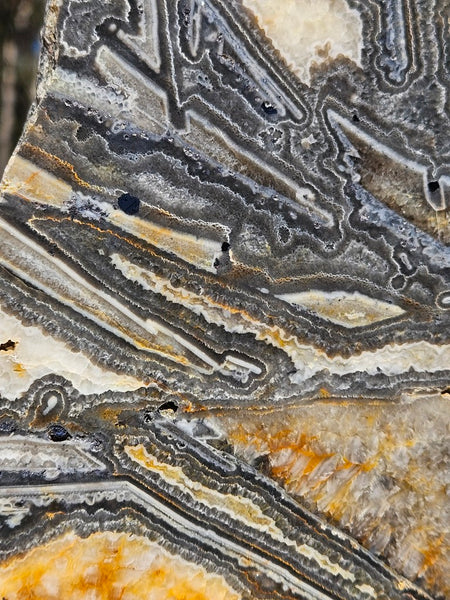 Polished Wyloo Agate slab WA157  John