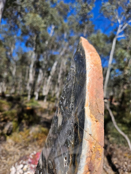 Polished Wyloo Agate slab WA157  John