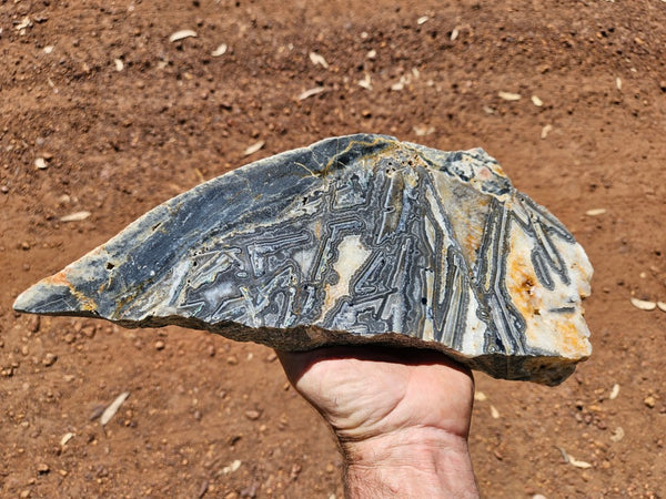 Polished Wyloo Agate slab WA157  John