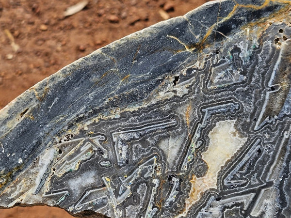 Polished Wyloo Agate slab WA157  John