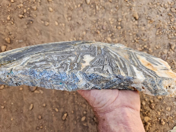 Polished Wyloo Agate slab WA157  John