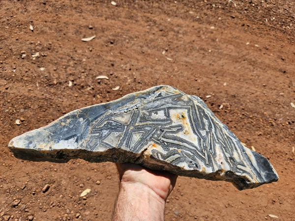 Polished Wyloo Agate slab WA156  John