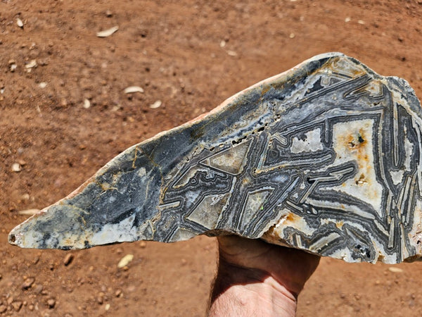 Polished Wyloo Agate slab WA156  John