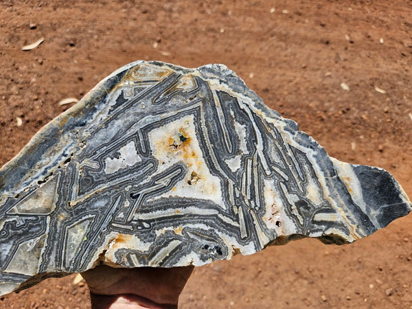 Polished Wyloo Agate slab WA156  John