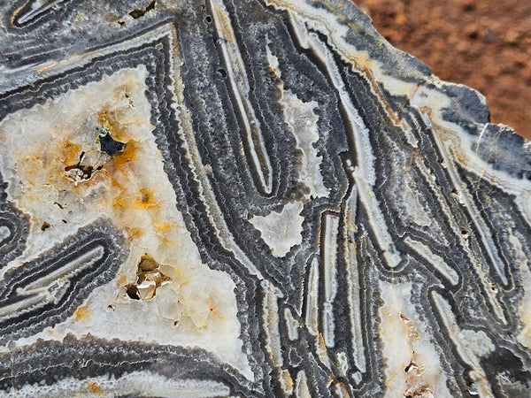 Polished Wyloo Agate slab WA156  John