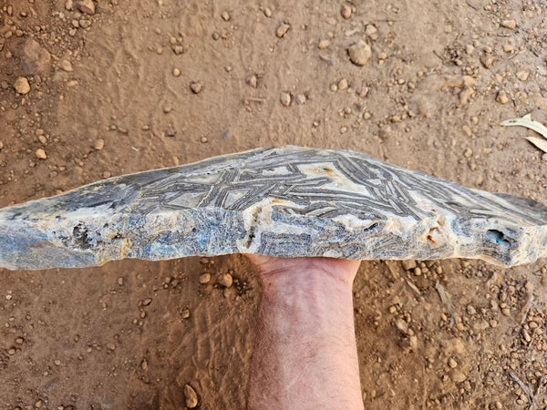 Polished Wyloo Agate slab WA156  John