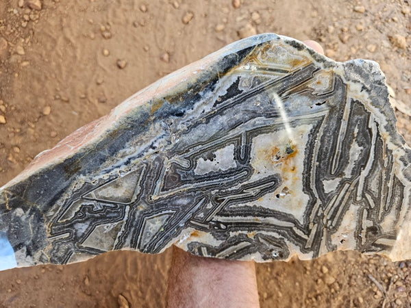 Polished Wyloo Agate slab WA156  John
