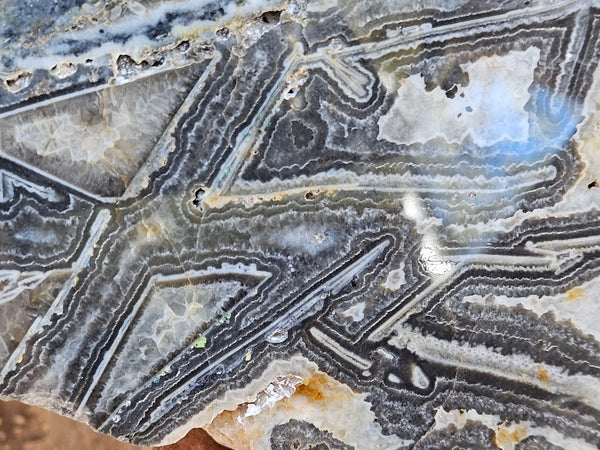 Polished Wyloo Agate slab WA156  John