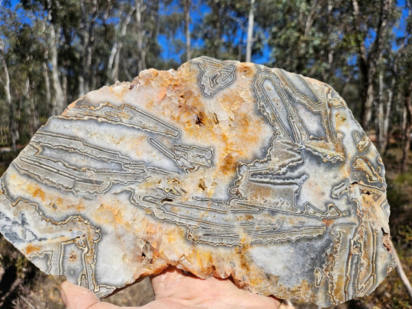 Polished Wyloo Agate slab WA159  John