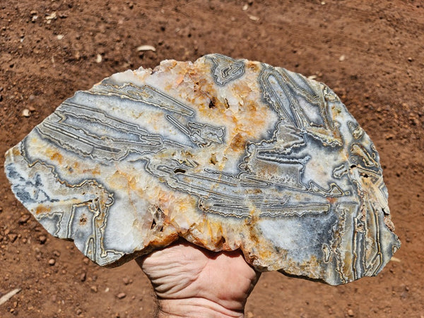 Polished Wyloo Agate slab WA159  John