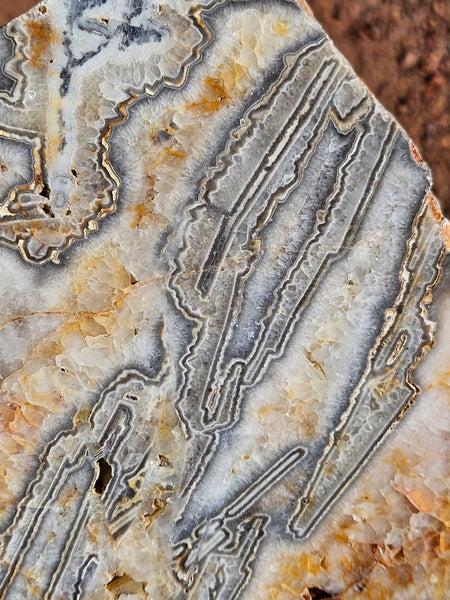 Polished Wyloo Agate slab WA159  John