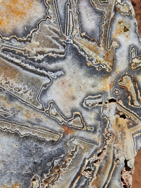 Polished Wyloo Agate slab WA159  John