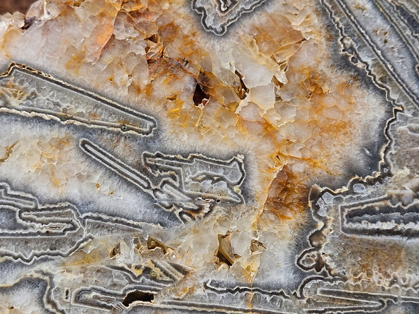 Polished Wyloo Agate slab WA159  John