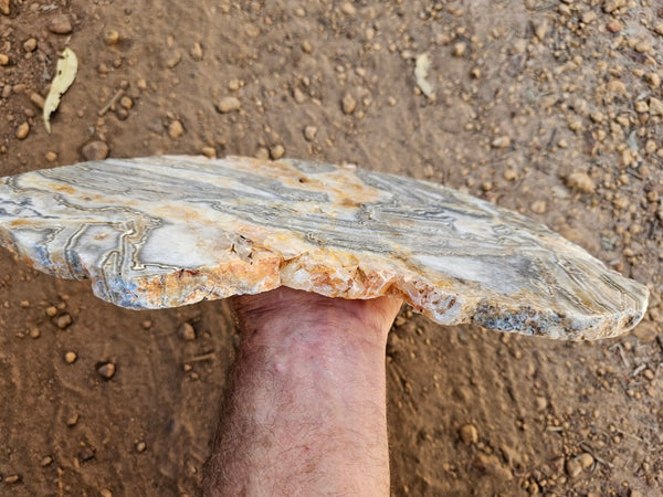 Polished Wyloo Agate slab WA159  John