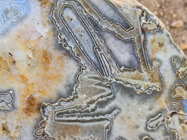 Polished Wyloo Agate slab WA159  John