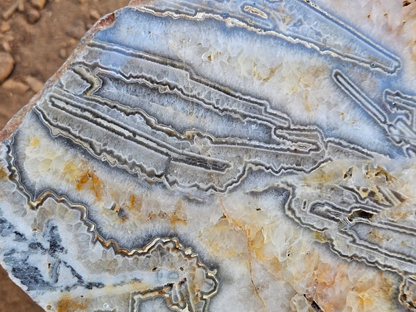 Polished Wyloo Agate slab WA159  John