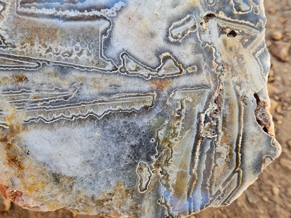 Polished Wyloo Agate slab WA159  John