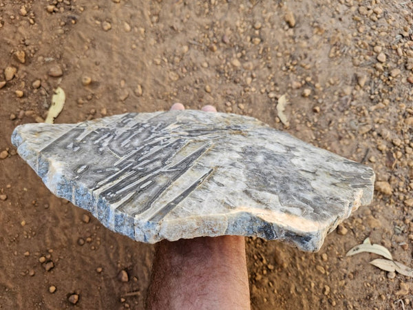 Polished Wyloo Agate slab WA158  John
