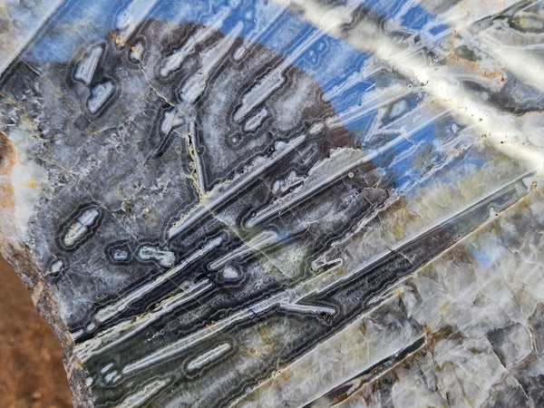 Polished Wyloo Agate slab WA158  John