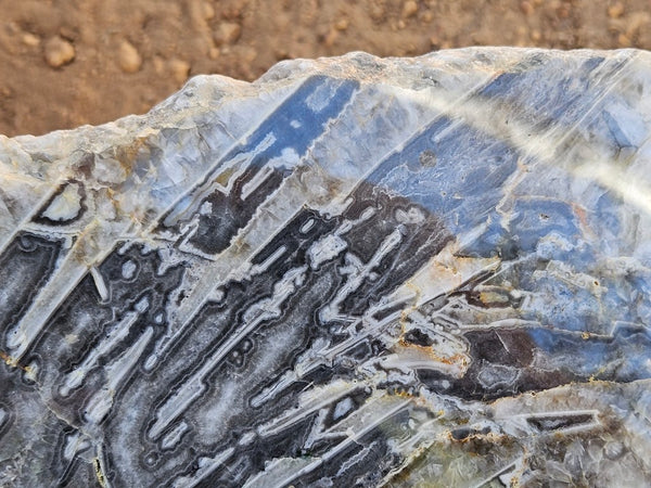 Polished Wyloo Agate slab WA158  John