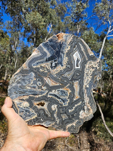 Polished Wyloo Agate slab WA163  John