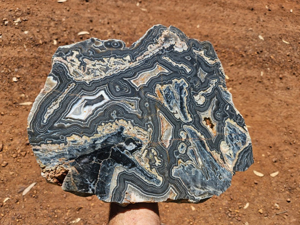 Polished Wyloo Agate slab WA163  John