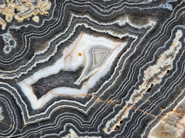 Polished Wyloo Agate slab WA163  John