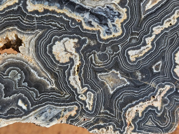 Polished Wyloo Agate slab WA163  John
