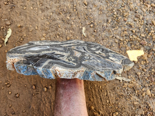 Polished Wyloo Agate slab WA163  John