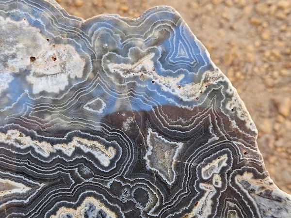 Polished Wyloo Agate slab WA163  John