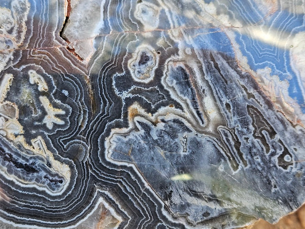 Polished Wyloo Agate slab WA163  John