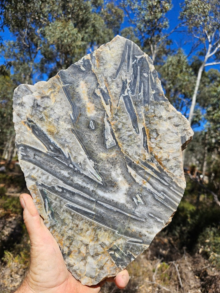 Polished Wyloo Agate slab WA160  John