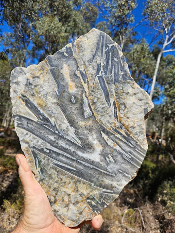 Polished Wyloo Agate slab WA160  John