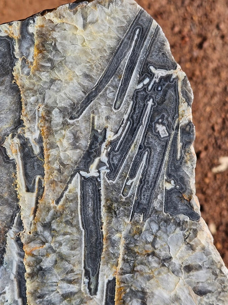 Polished Wyloo Agate slab WA160  John