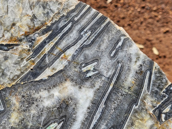 Polished Wyloo Agate slab WA160  John