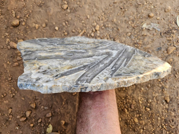 Polished Wyloo Agate slab WA160  John