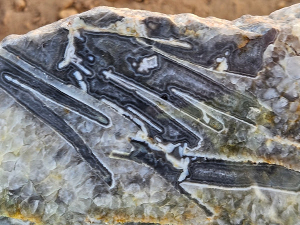 Polished Wyloo Agate slab WA160  John