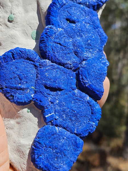 Azurite Sun  AZ180