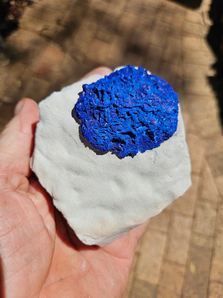 Azurite Sun  AZ183