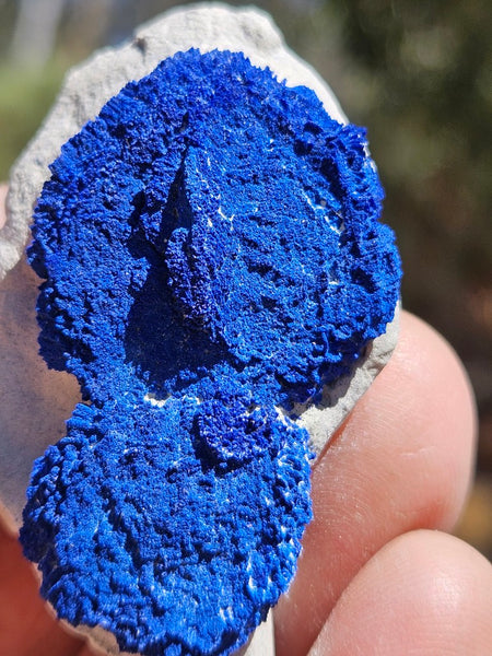 Azurite Sun  AZ184