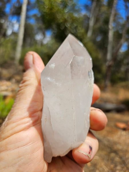 West Australian Quartz crystal . XL120