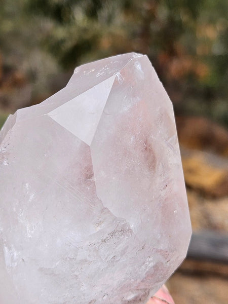 West Australian Quartz crystal . XL120