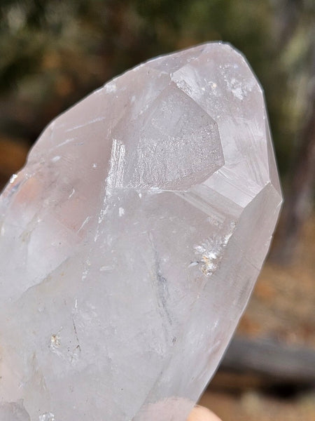 West Australian Quartz crystal . XL120